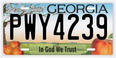 GA license plate PWY4239
