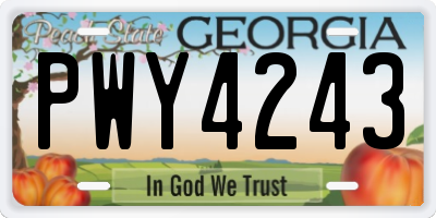GA license plate PWY4243