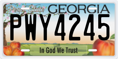 GA license plate PWY4245