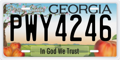 GA license plate PWY4246