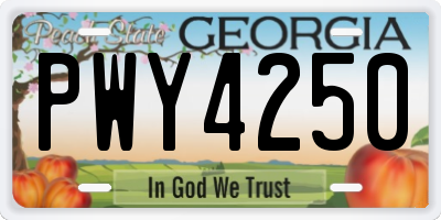 GA license plate PWY4250