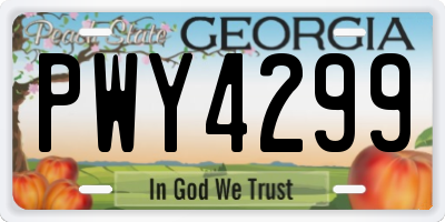 GA license plate PWY4299