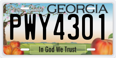 GA license plate PWY4301