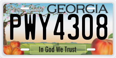 GA license plate PWY4308