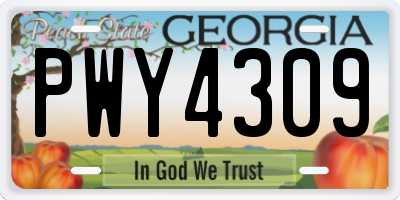 GA license plate PWY4309