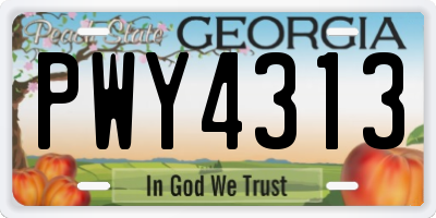 GA license plate PWY4313