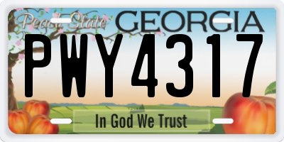 GA license plate PWY4317