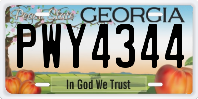 GA license plate PWY4344