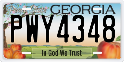 GA license plate PWY4348