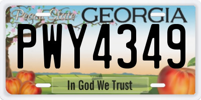 GA license plate PWY4349