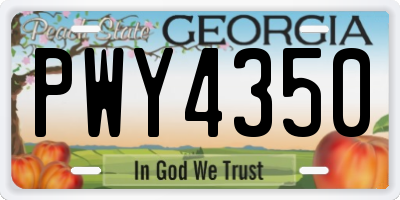 GA license plate PWY4350