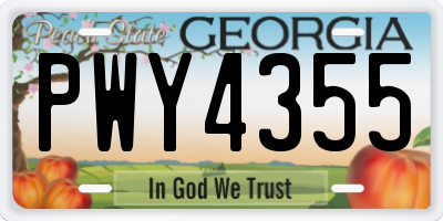 GA license plate PWY4355