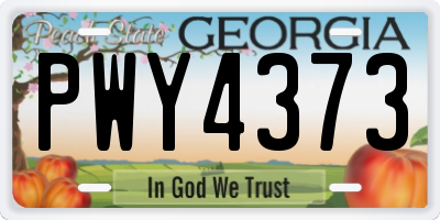 GA license plate PWY4373