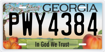 GA license plate PWY4384