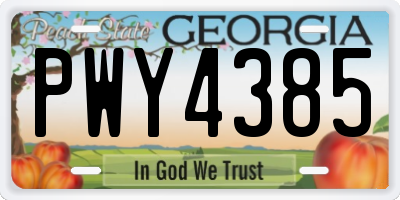 GA license plate PWY4385