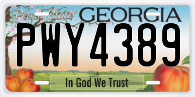 GA license plate PWY4389