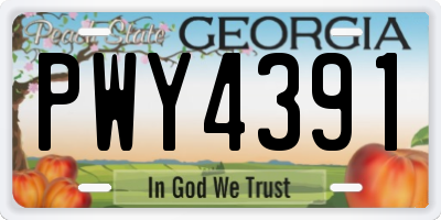 GA license plate PWY4391