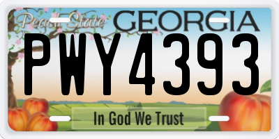 GA license plate PWY4393