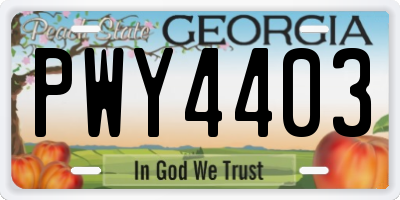 GA license plate PWY4403
