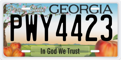 GA license plate PWY4423