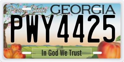 GA license plate PWY4425
