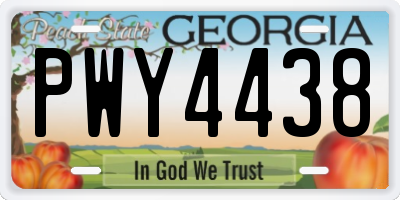GA license plate PWY4438