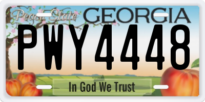 GA license plate PWY4448