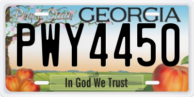 GA license plate PWY4450