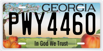GA license plate PWY4460
