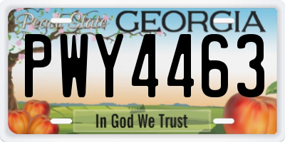 GA license plate PWY4463