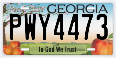 GA license plate PWY4473