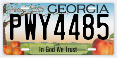 GA license plate PWY4485