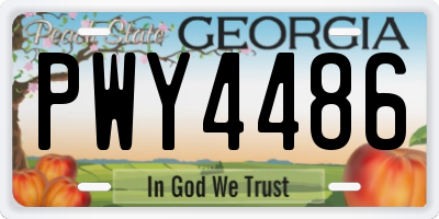 GA license plate PWY4486