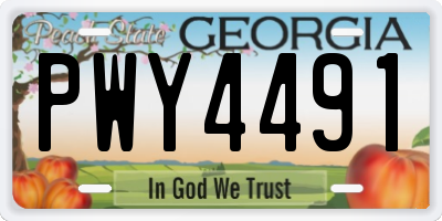 GA license plate PWY4491