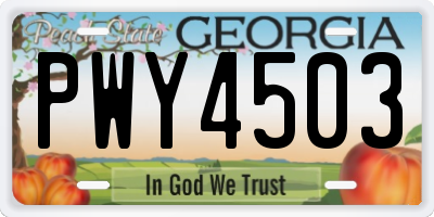 GA license plate PWY4503
