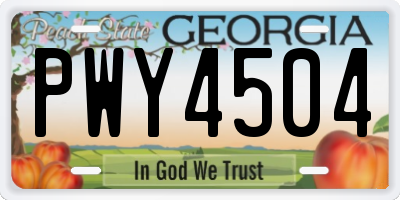 GA license plate PWY4504