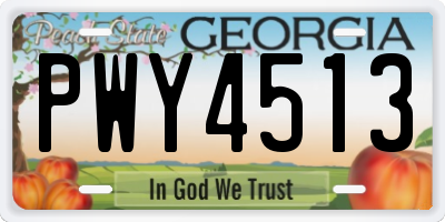 GA license plate PWY4513