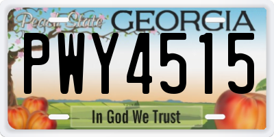 GA license plate PWY4515