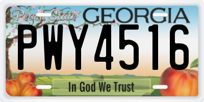 GA license plate PWY4516