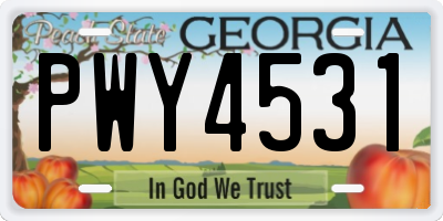 GA license plate PWY4531
