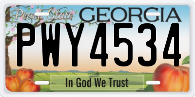 GA license plate PWY4534