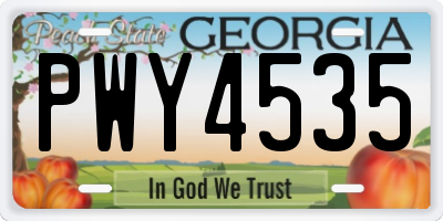 GA license plate PWY4535
