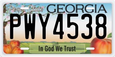 GA license plate PWY4538