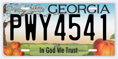 GA license plate PWY4541