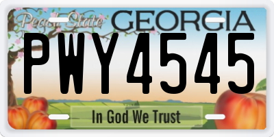 GA license plate PWY4545