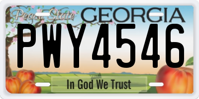 GA license plate PWY4546
