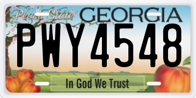 GA license plate PWY4548