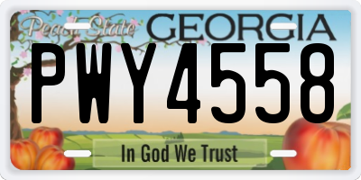 GA license plate PWY4558
