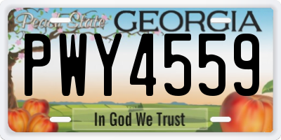 GA license plate PWY4559