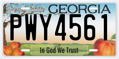 GA license plate PWY4561